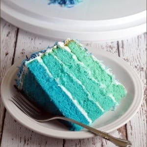 Blue Ombre Cake Belly Full