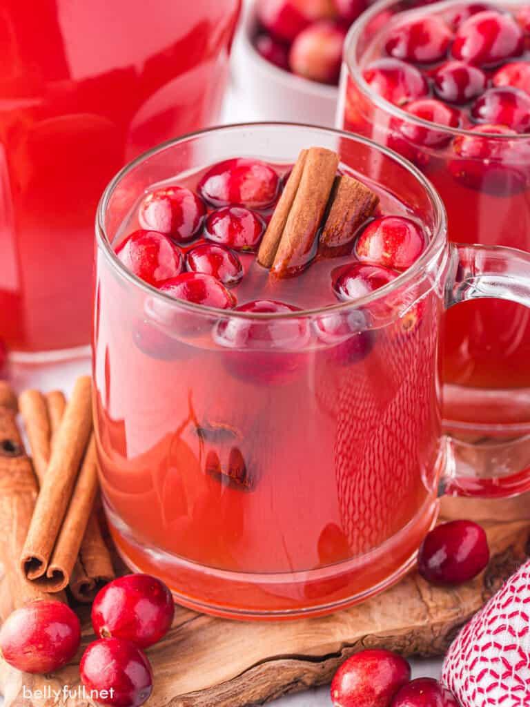 Hot Cranberry Apple Cider Belly Full