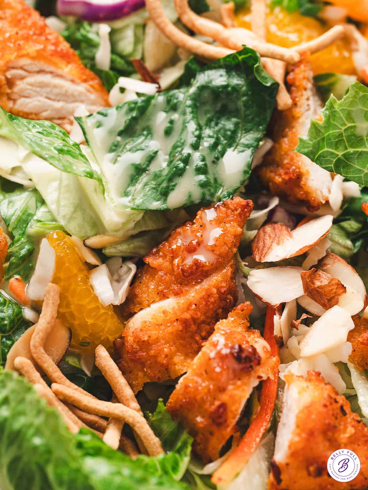 Close up of Asian chicken salad