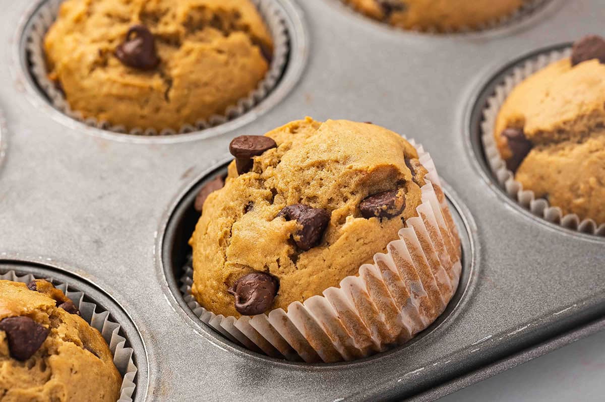 Close up of a pan of chocolate chip coffee muffins