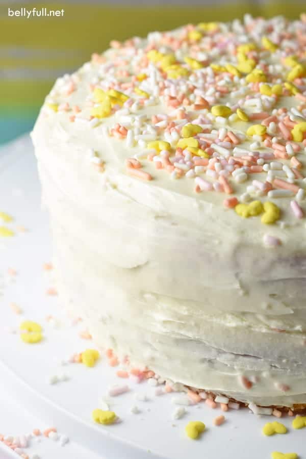 whole pinata cake frosted with pastel sprinkles