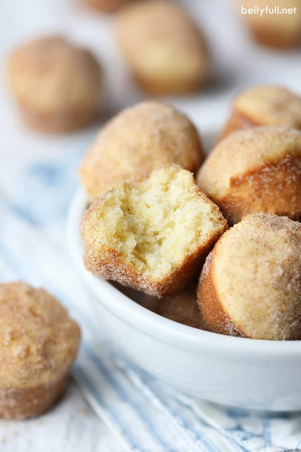 Mini Donut Muffins Belly Full