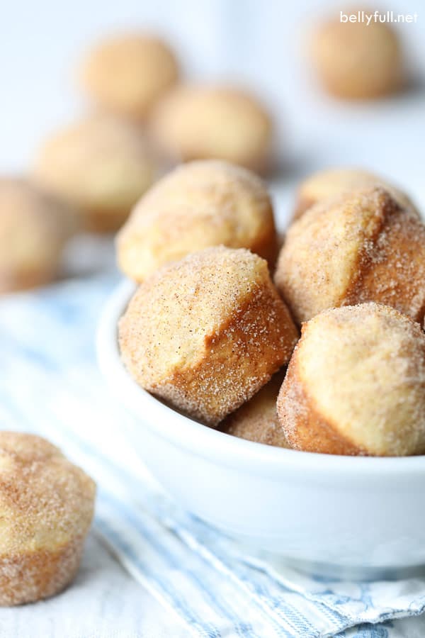 Mini Donut Muffins Belly Full