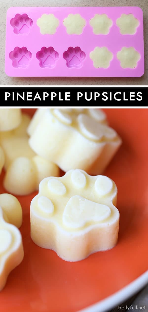 Pineapple Pupsicles Homemade Frozen Dog Treats Belly Full