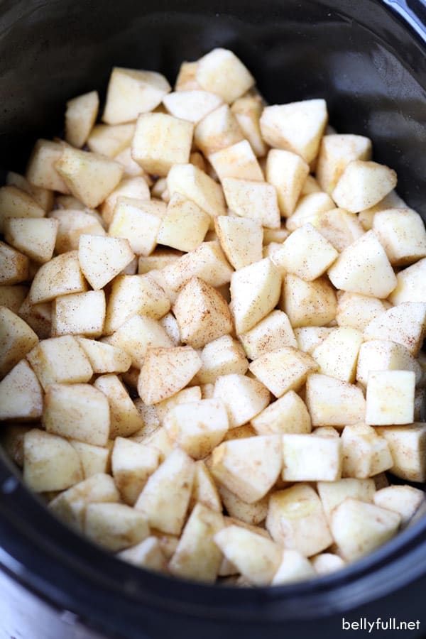Homemade Slow Cooker Cinnamon Applesauce