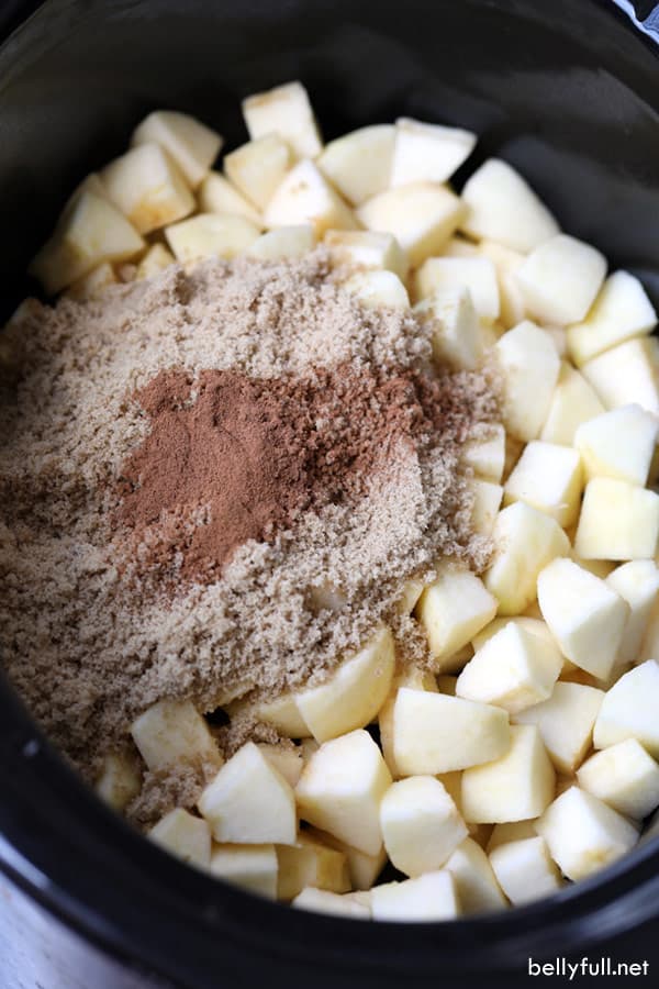 Homemade Slow Cooker Cinnamon Applesauce