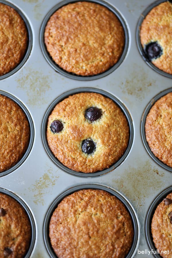 Bran Cereal Muffins with blueberries