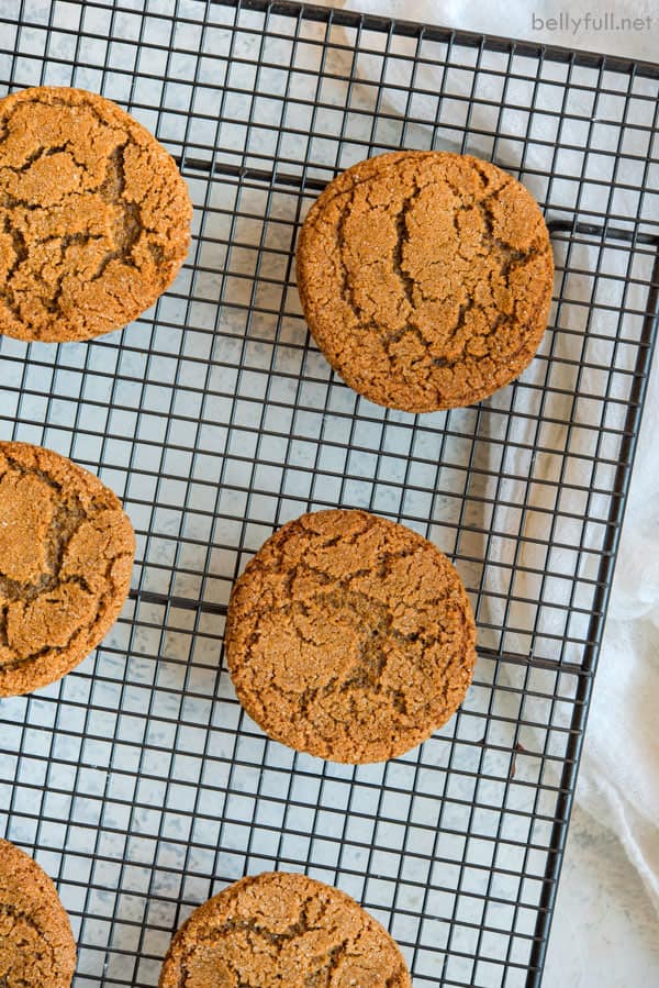 Soft and Chewy Molasses Cookies Belly Full