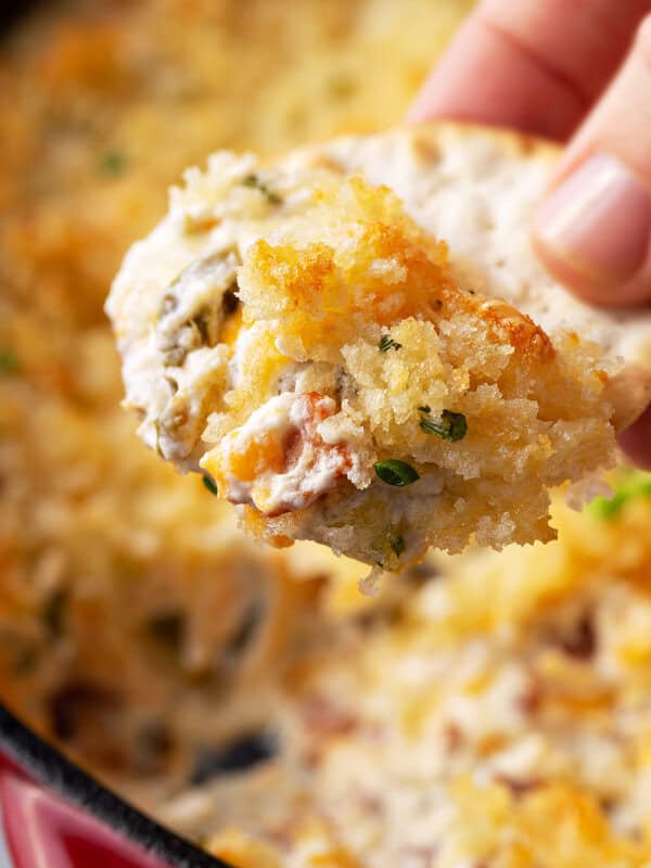 jalapeno popper dip on cracker