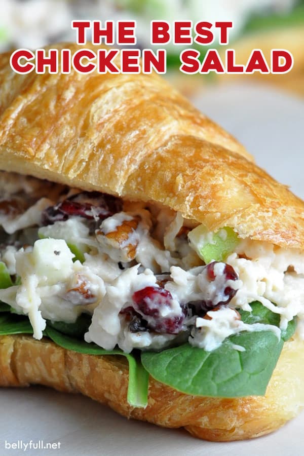 The Best Chicken Salad! (With Cranberries, Apples, and Pecans)