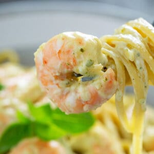 shrimp and creamy pesto pasta swirled around fork
