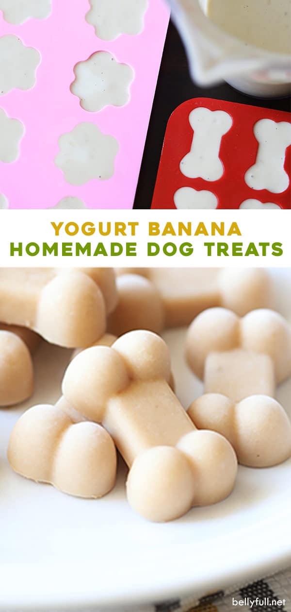 Yogurt Banana Dog Treats Recipe Belly Full