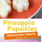 2 picture pin for pineapple pupsicles frozen dog treats