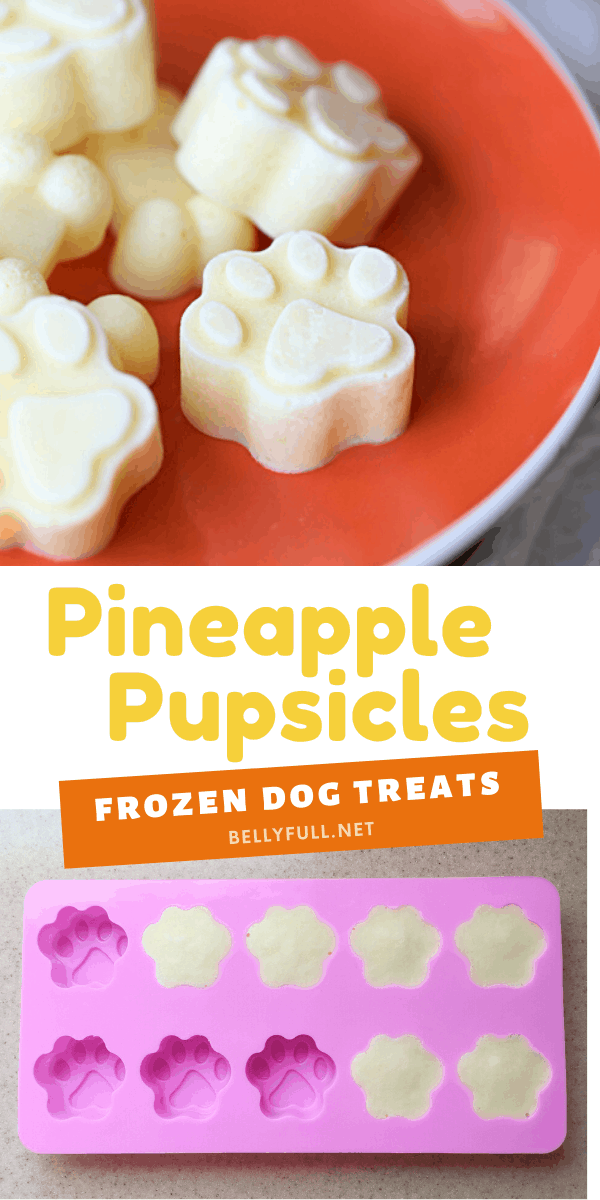 Pineapple Pupsicles Homemade Frozen Dog Treats Belly Full