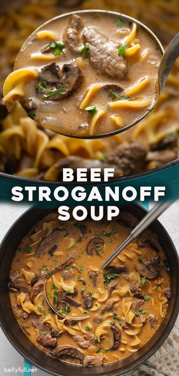 {one Pot} Beef Stroganoff Soup Recipe - Belly Full