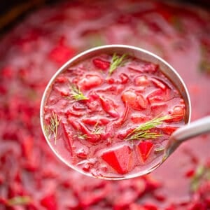 ladle full of Borscht beet soup
