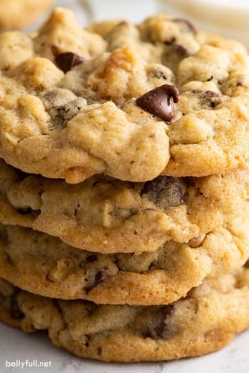 DoubleTree Cookies (Famous Recipe) - Belly Full