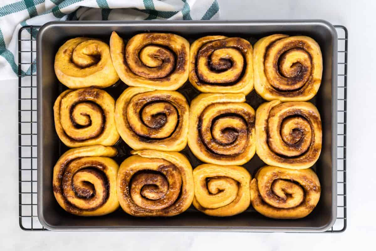Baked pumpkin cinnamon rolls.