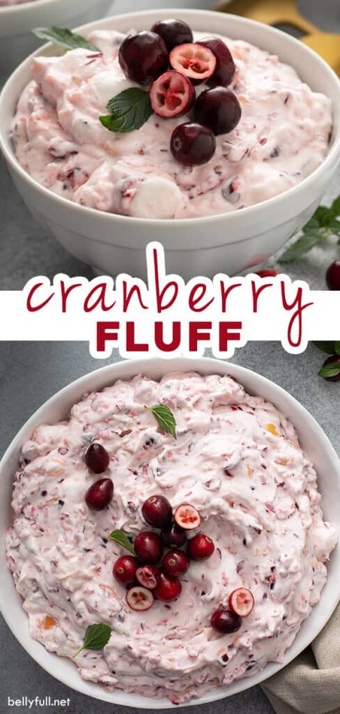 2 picture pin for cranberry fluff recipe