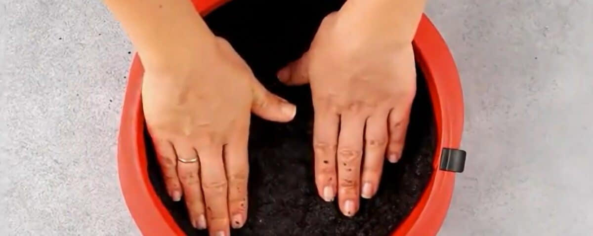 Pressing the Oreo crust into the springform pan.