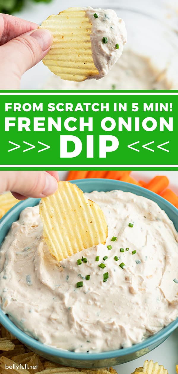 French Onion Dip {from scratch in 5 minutes!} Belly Full