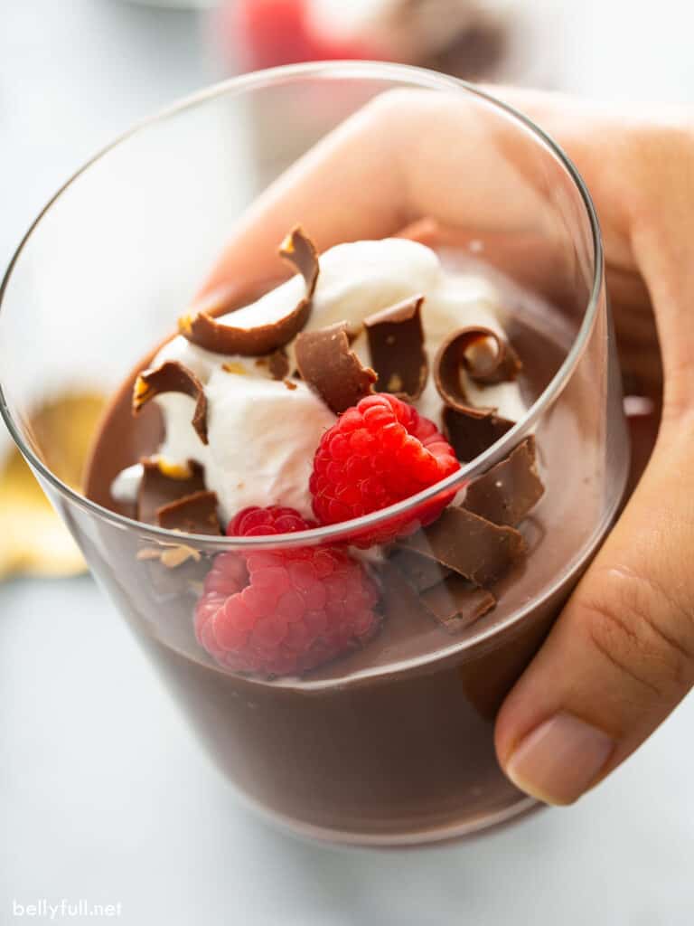 Chocolate pudding with raspberries, chocolate shavings, and whipped cream in a glass cup