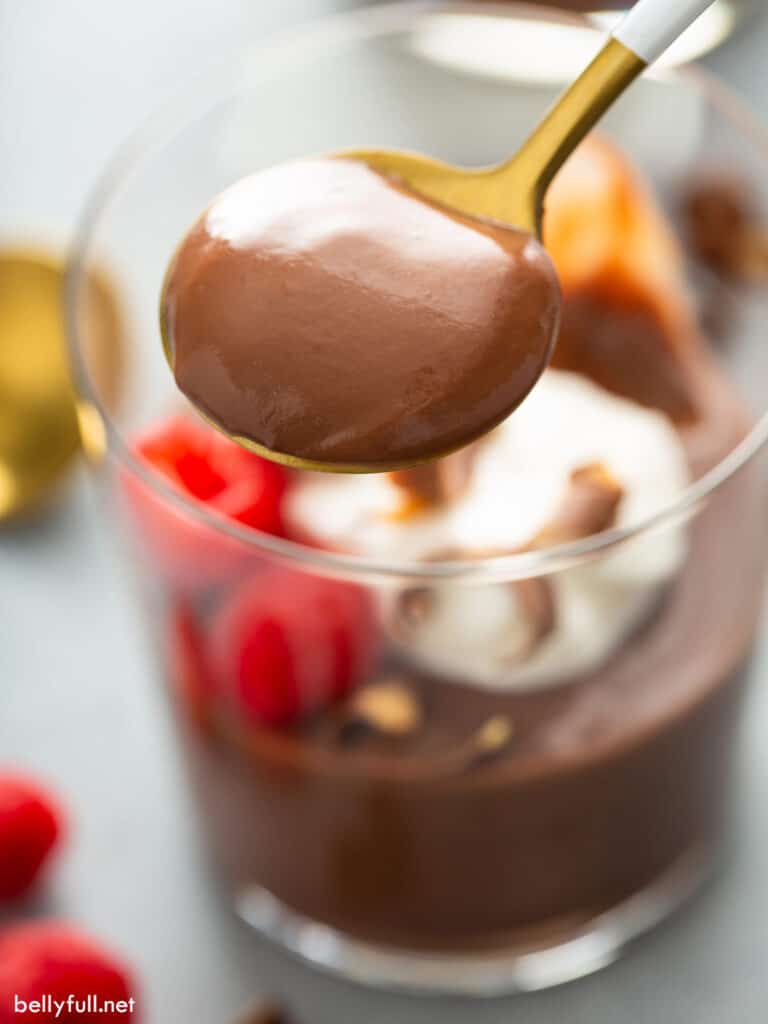Spoonful of chocolate pudding.