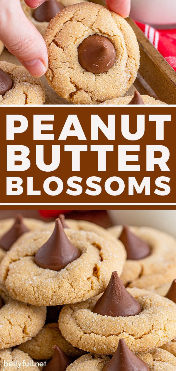 Peanut Butter Blossoms {old fashioned cookie favorite!} - Belly Full