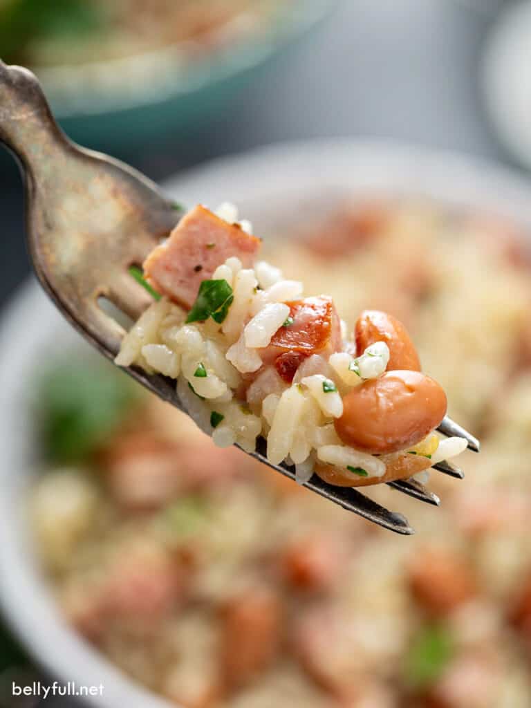 Rice and Beans Recipe Belly Full