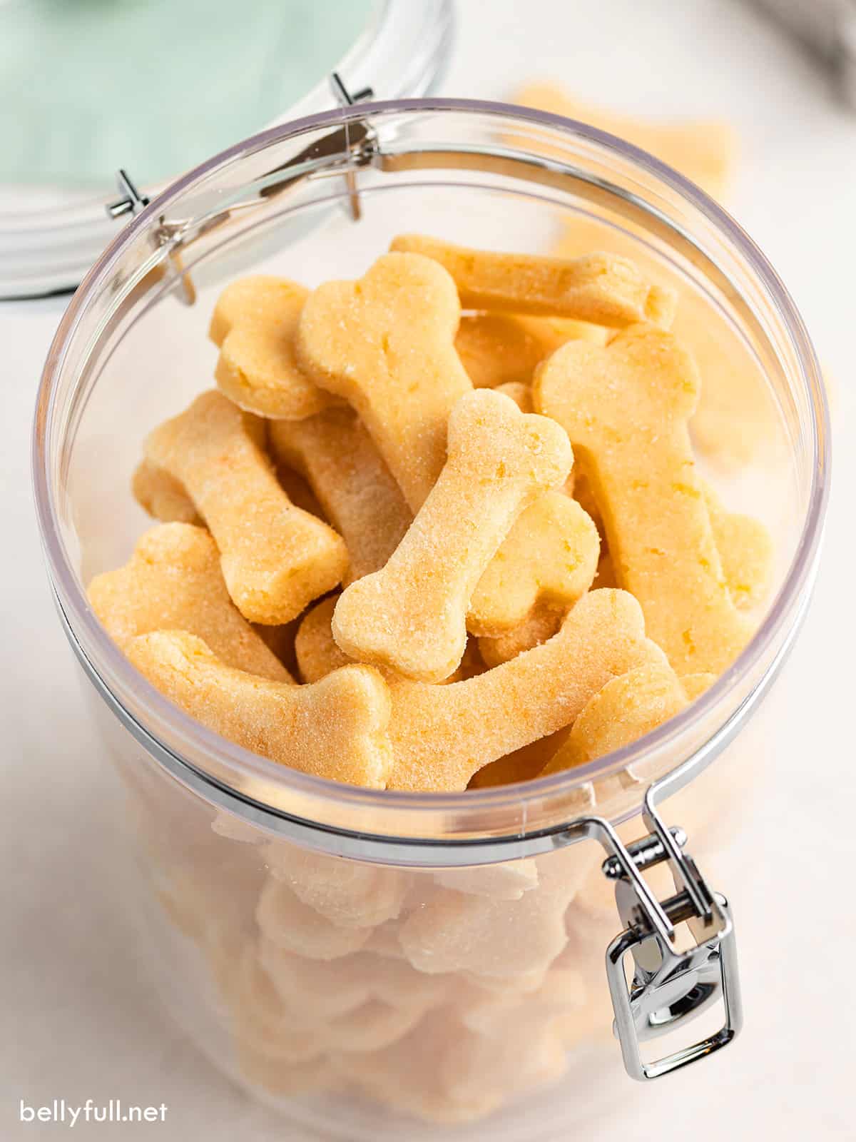 Cheddar Dog Biscuits Recipe Belly Full