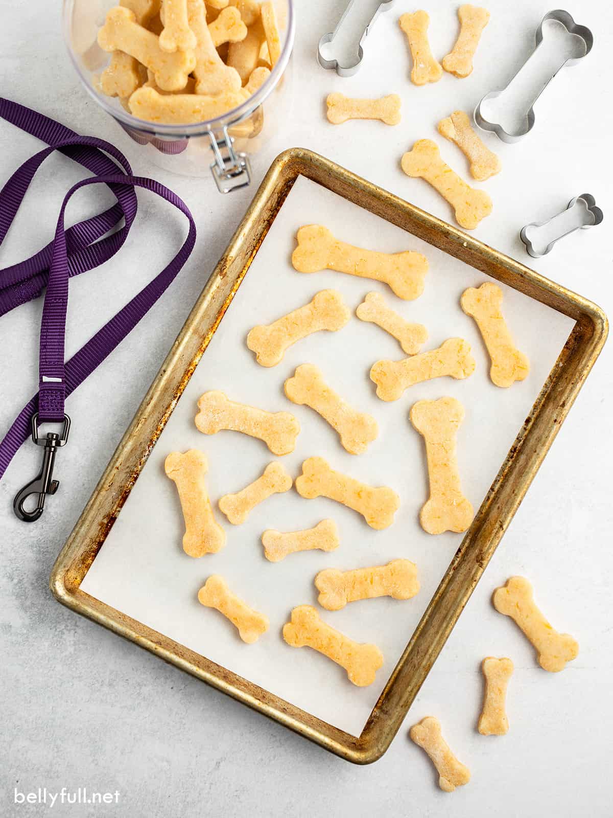 Cheddar Dog Biscuits Recipe Belly Full