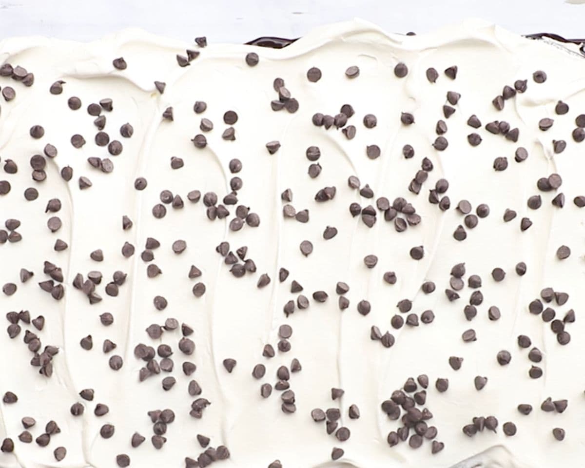 Ice cream sandwich cake with topping and chocolate chips.