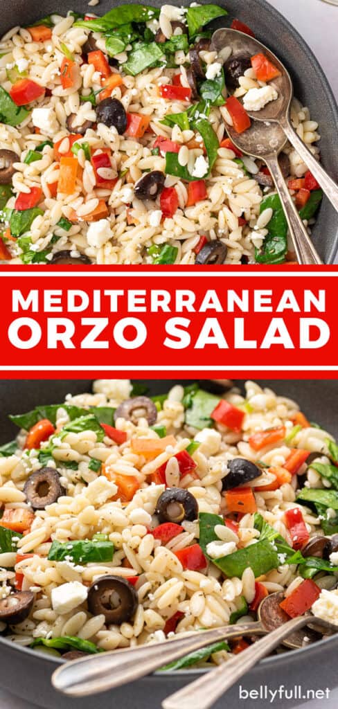 Pin for Greek Orzo Salad