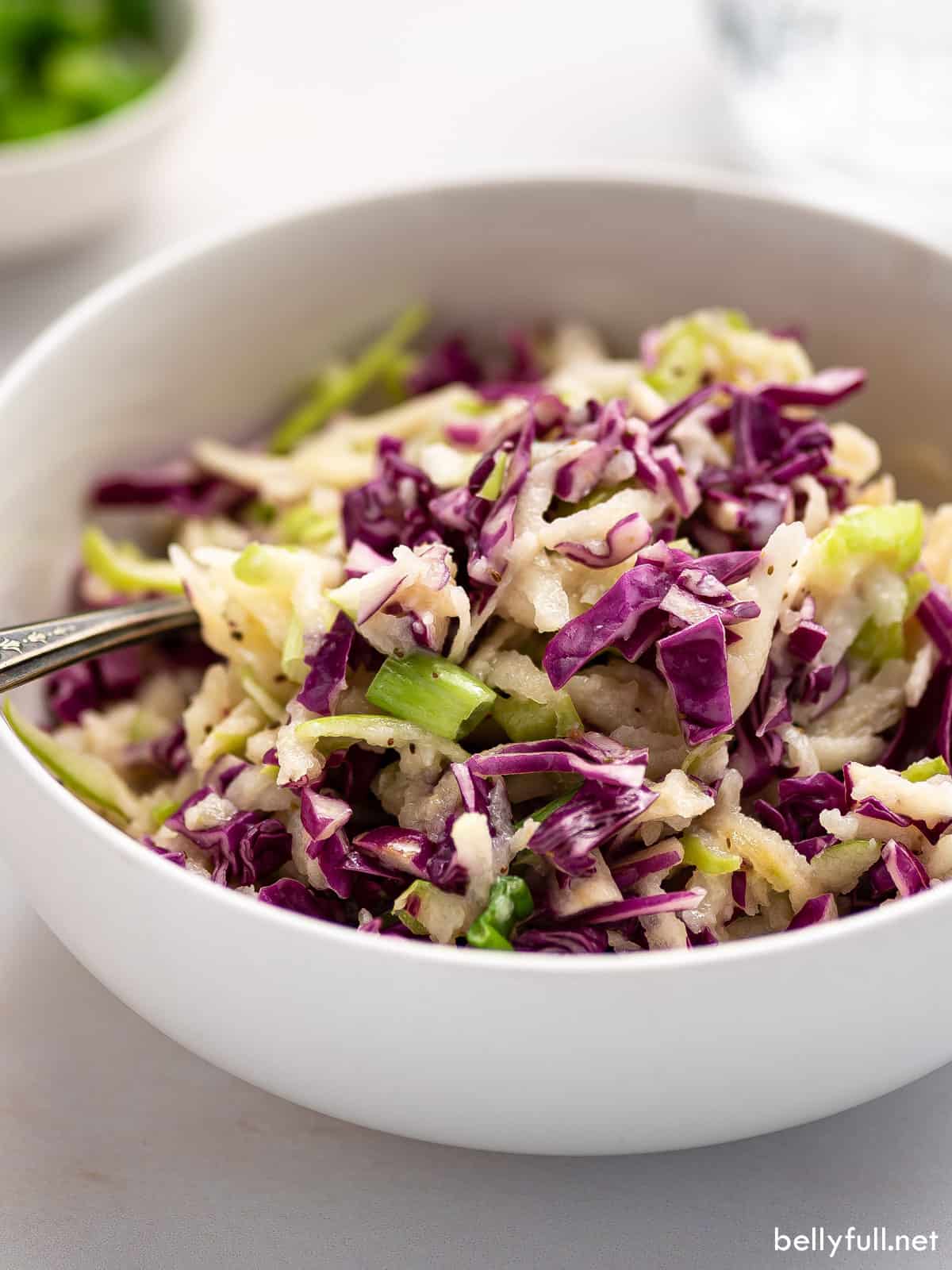 Red Cabbage Slaw Recipe {with apple!} Belly Full