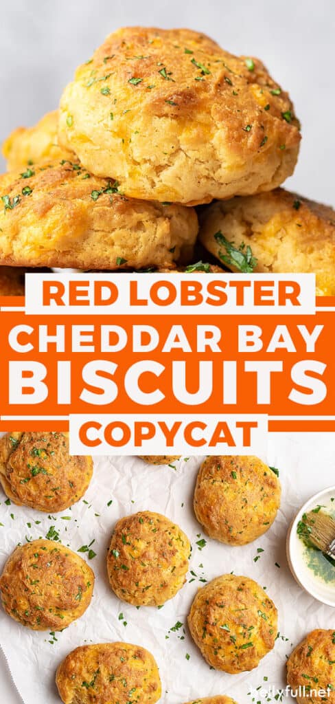 pin for cheddar bay biscuits recipe