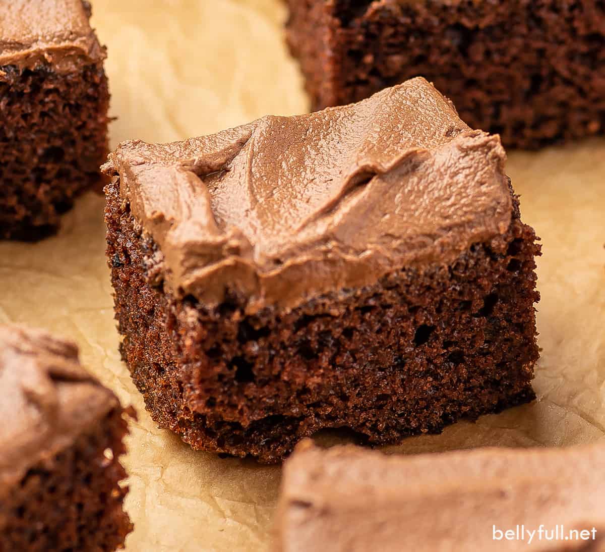 Piece of chocolate cake with frosting.