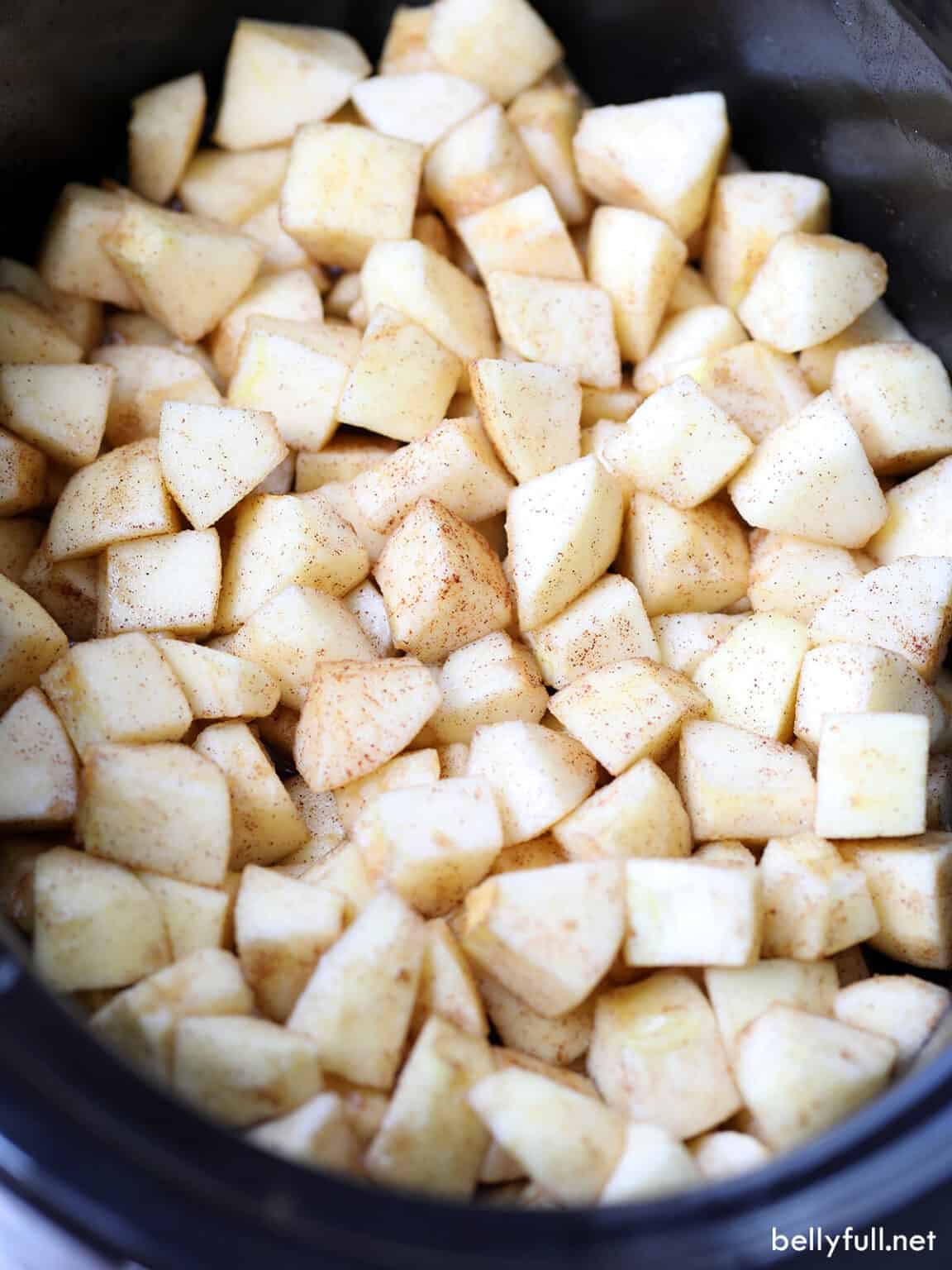 Homemade Applesauce Recipe {Slow Cooker} Belly Full