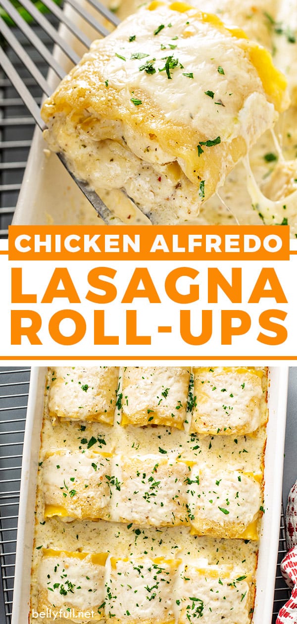 Chicken Alfredo Lasagna Rolls Belly Full