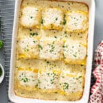 9 chicken alfredo lasagna rolls in baking dish