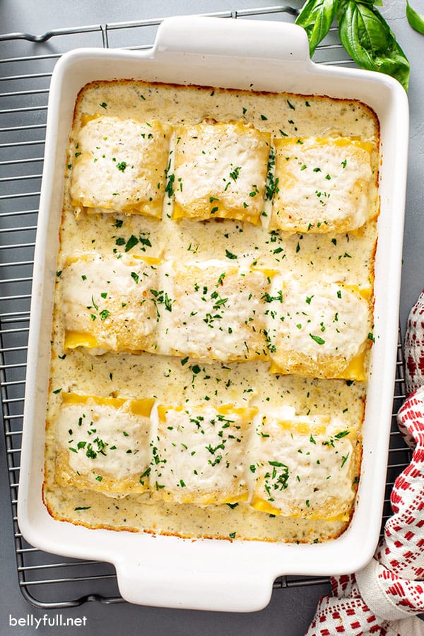Chicken Alfredo Lasagna Rolls Belly Full