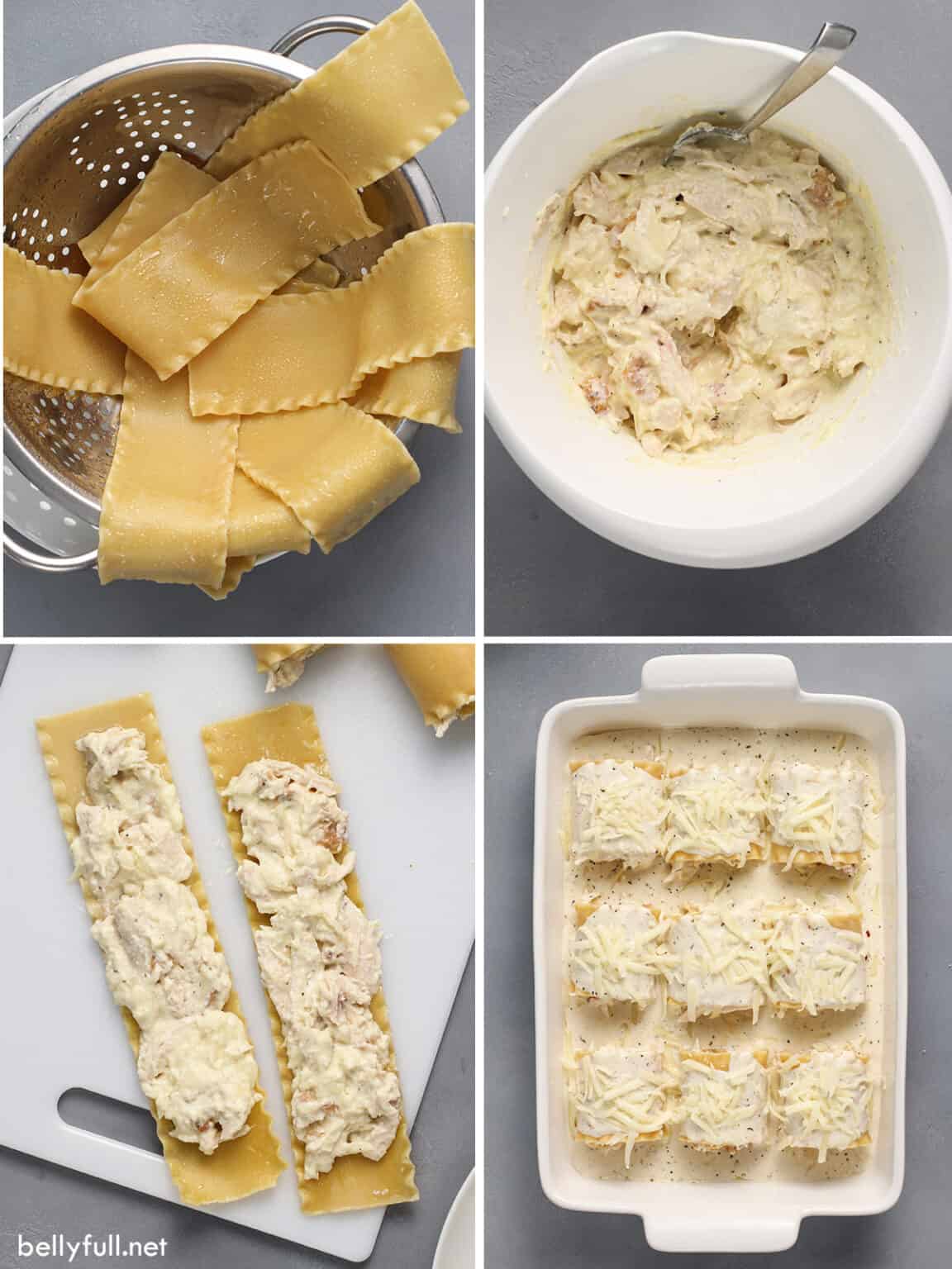 Chicken Alfredo Lasagna Rolls Belly Full