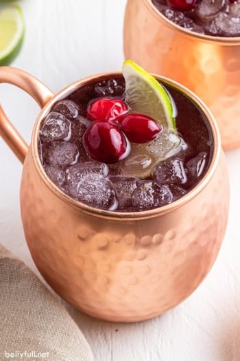 Cranberry Moscow Mule cocktail with cranberries as garnish