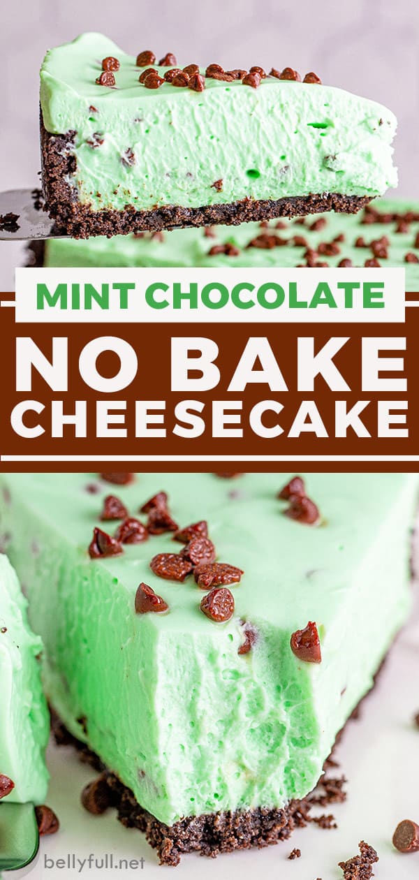 Mint Chocolate Chip No Bake Cheesecake Belly Full
