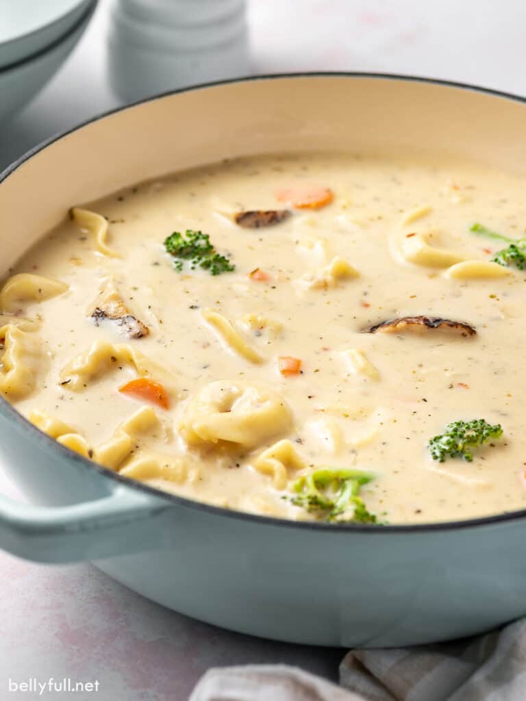Chicken Alfredo Tortellini Soup Belly Full