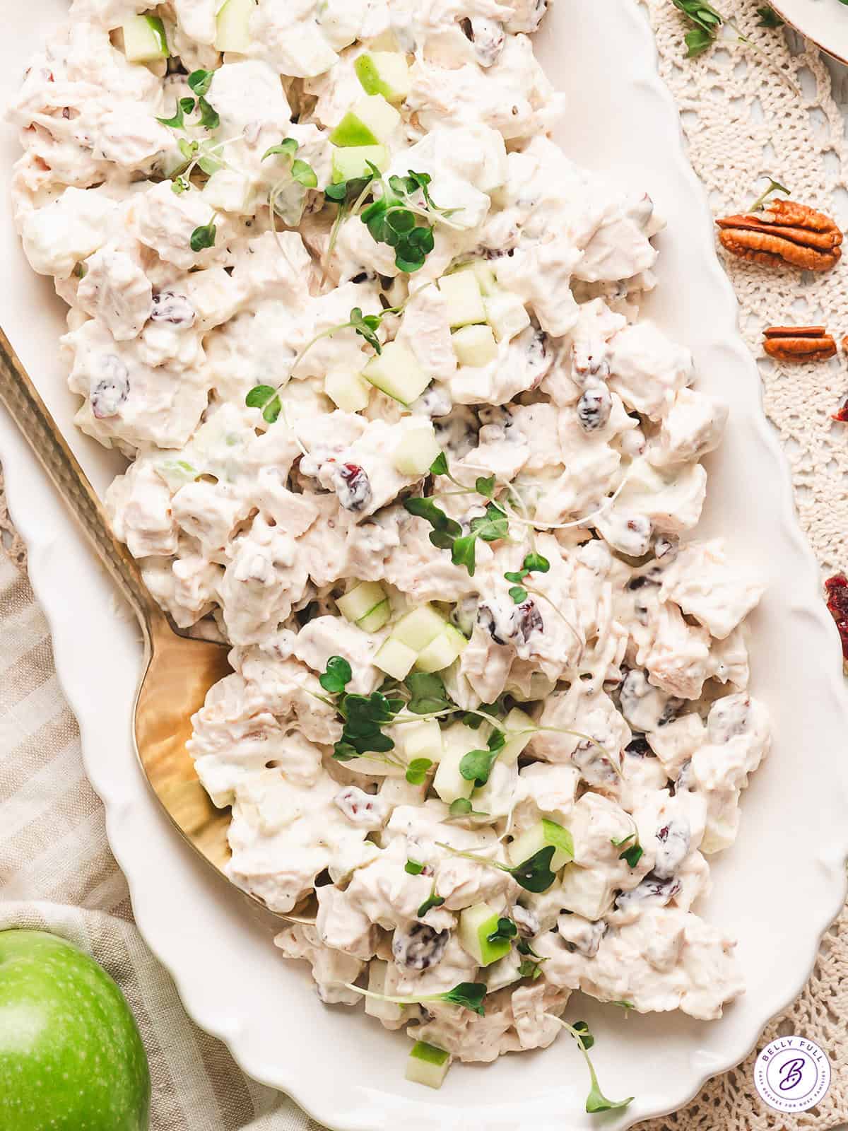 This is the BEST chicken salad recipe. With chicken, cranberries, apples, and pecans, it's wonderful on its own or as a sandwich! Chicken salad on a serving platter