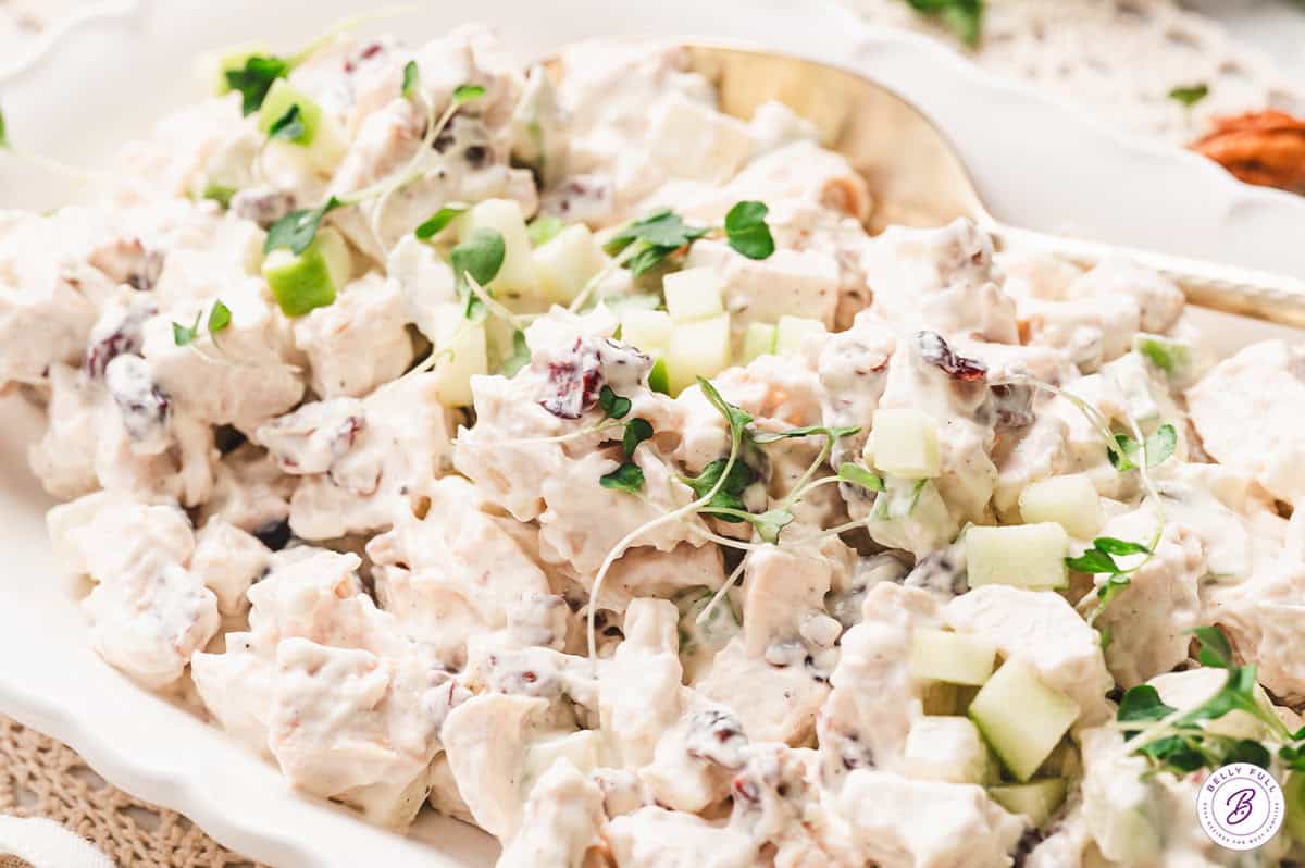A plate of chicken salad