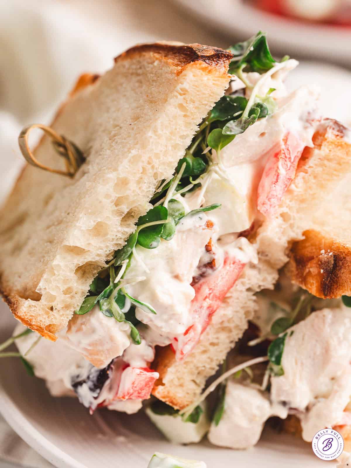 This is the BEST chicken salad recipe. With chicken, cranberries, apples, and pecans, it's wonderful on its own or as a sandwich! A chicken salad sandwich with lettuce and tomato