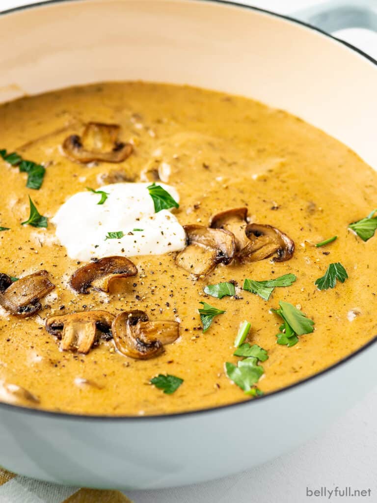 Hungarian Mushroom Soup Belly Full