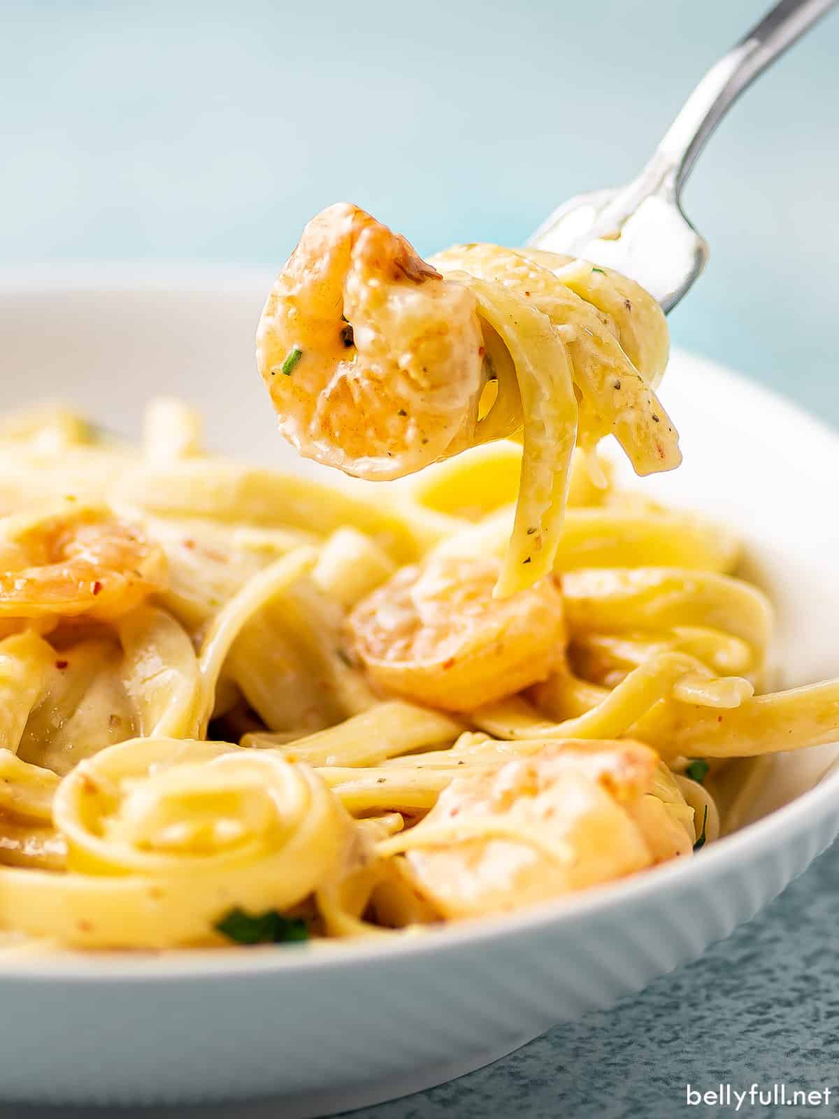 creamy shrimp and fettuccine pasta on fork