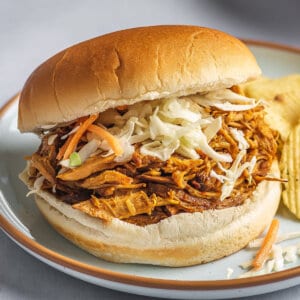 Close-up of a bbq pulled chicken sandwich